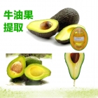 China Natural avocado extract factory