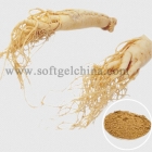 Chine Extrait de Ginseng américain usine