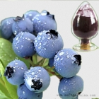 China Blueberry Extract-Fabrik