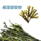 China Brown seaweed extract factory