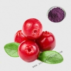 중국 Cranberry Extract Manufacturer 공장