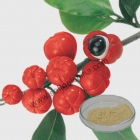 China Guarana extract factory